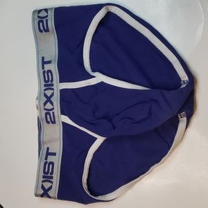 2(x)ist mens purple briefs